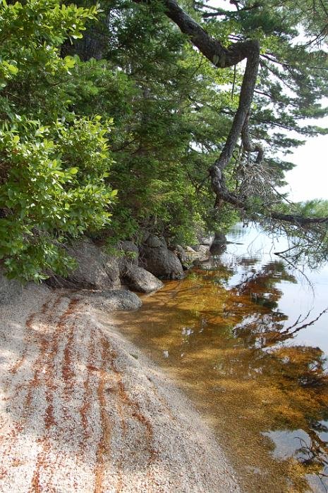 Kanutrip Naturreservat Sporting Lake_48